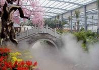 Fuente encendida bruma de la decoración del jardín, fuente interior de la niebla de la niebla de la etapa proveedor